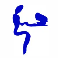 خط همراه و ایرانسل