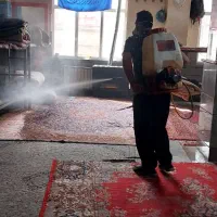 سمپاشی ساس وسوسک ۱۰۰٪ تضمینی وضمانت