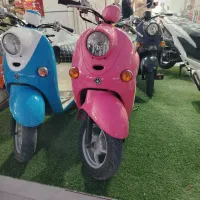 پاکشتی صورتی،سبز،آبی
