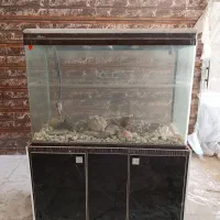 فروش 120سانتی شرکتی