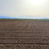 زمین بارانی