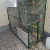 قفس