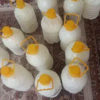 دوغ تازه محلی ارگانیک