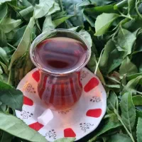 چای بهاره درجه ۱ دست چین شده۱۴۰۵