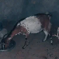 کهره نزار گوشتی بین ۱۶تا ۱۸کیلو