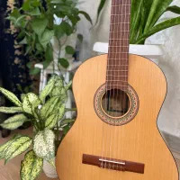 گیتار پارسیp70