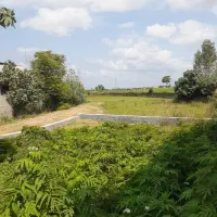سند-تک-برگ-لوکیشن-مناسب