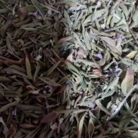 فروش محصولات خانگی