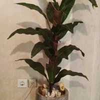 درختچه مصنوعی عالی و زیبا