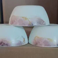 فسنجون خوری آرکوپال