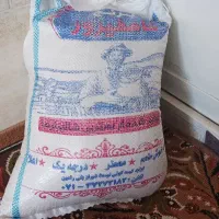 برنج فجر و برنج کامفیروزی