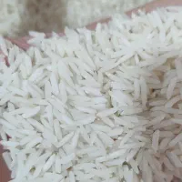 برنج صدری خزر (بشرط پخت و طعم) کالابرگ