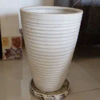 گلدان بلند|گل و گیاه طبیعی|کیش, |دیوار