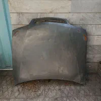 کاپوت زانتیا