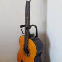 گیتار دیاموند