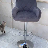 ۲ عدد صندلی جک دار