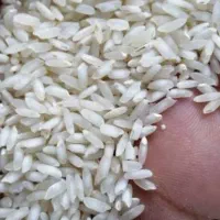 برنج عنبربو خالص ده کیلو ۳،۱۸۰،۰۰۰ تومان