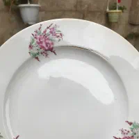 ظروف پذیرایی