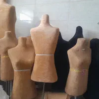 مانکن سوزن خور