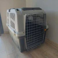 باکس حمل پت