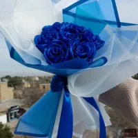 7شاخه فقط 395ت