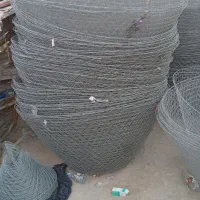 گرگور