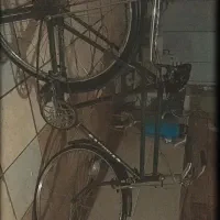۲۸چینی اصل