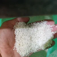 برنج طارم خالص اصل درجه یک