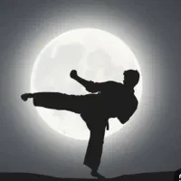 آموزش کنگفو