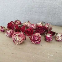 گل خشک|گل و گیاه طبیعی|مشهد, کلاهدوز|دیوار