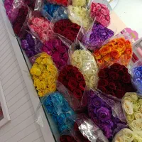رز هلندی شاخه 29هزار تومن