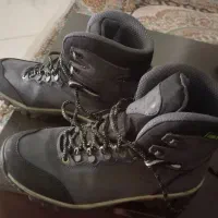 کی کرزساقداراصل کانادائی فروشی