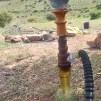 قلیان چوب سرخ