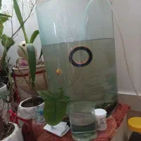 اکواریوم خم شرکتی