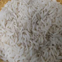 برنج هاشمی انزلی سورتینگ 490