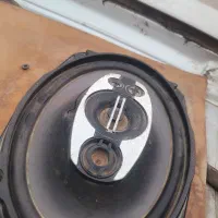 باند پایونر