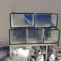 آکواریوم بزرگ