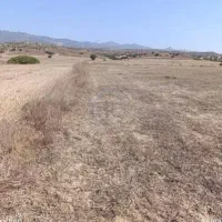 فروش زمین زراعی فوری