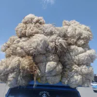 پشم فروشی
