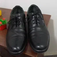 کفش مردانه نوطبی