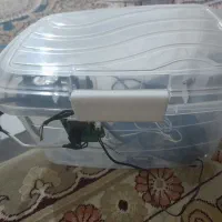 سگدستگاه جوجه کشی