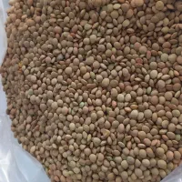 همه اجناس به قیمت عمده ۲۰ الی ۳۰ درصد تخفیف