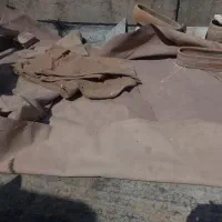 مکتب سالم