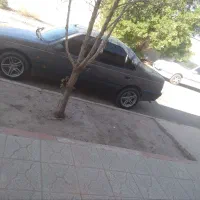 رینگ‌خرچنگی