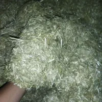 کاه گندم