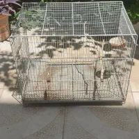 قفس بزرگ