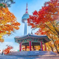 آموزش زبان کره ای و ژاپنی و انگلیسی