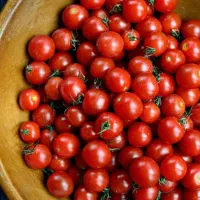 گوجه گیلاسی ترش وآبدار