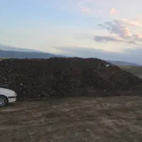 کود دامی