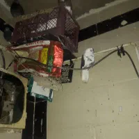 ده تا کبوتر پرشی